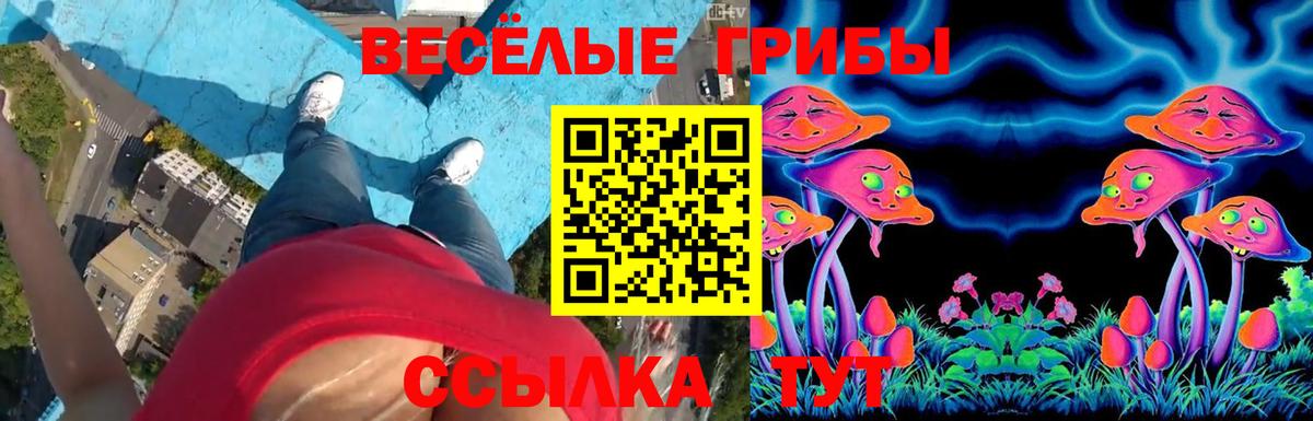 Беслан  Галлюциногенные грибы Psilocybine cubensis  Вход с VPN 