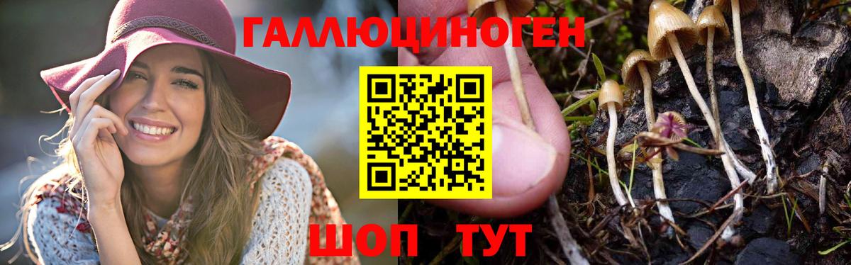 Галлюциногенные грибы Magic Shrooms Беслан